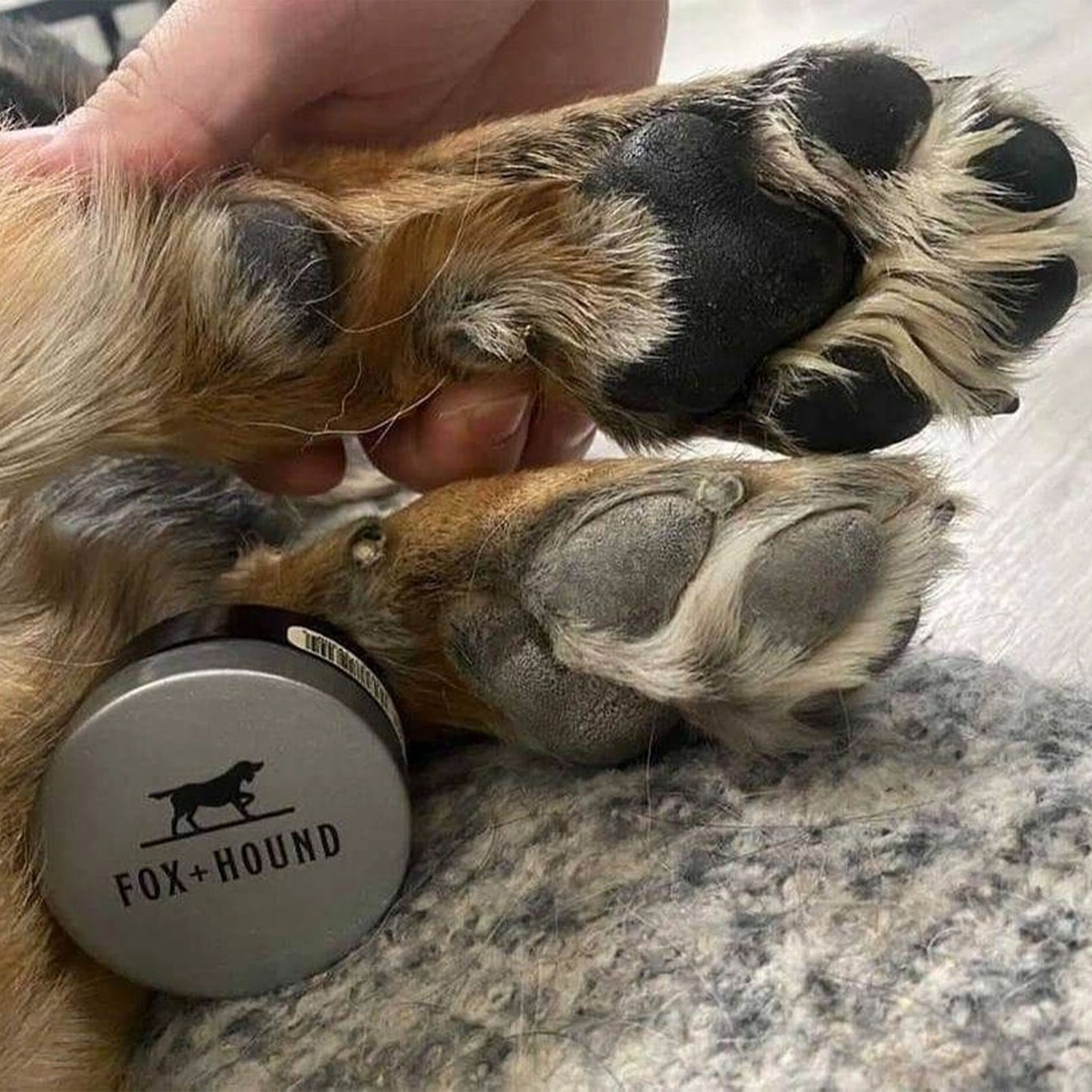 Stormie's Paw Pad Protection – Natural Balm for Dry, Cracked Dog Paws