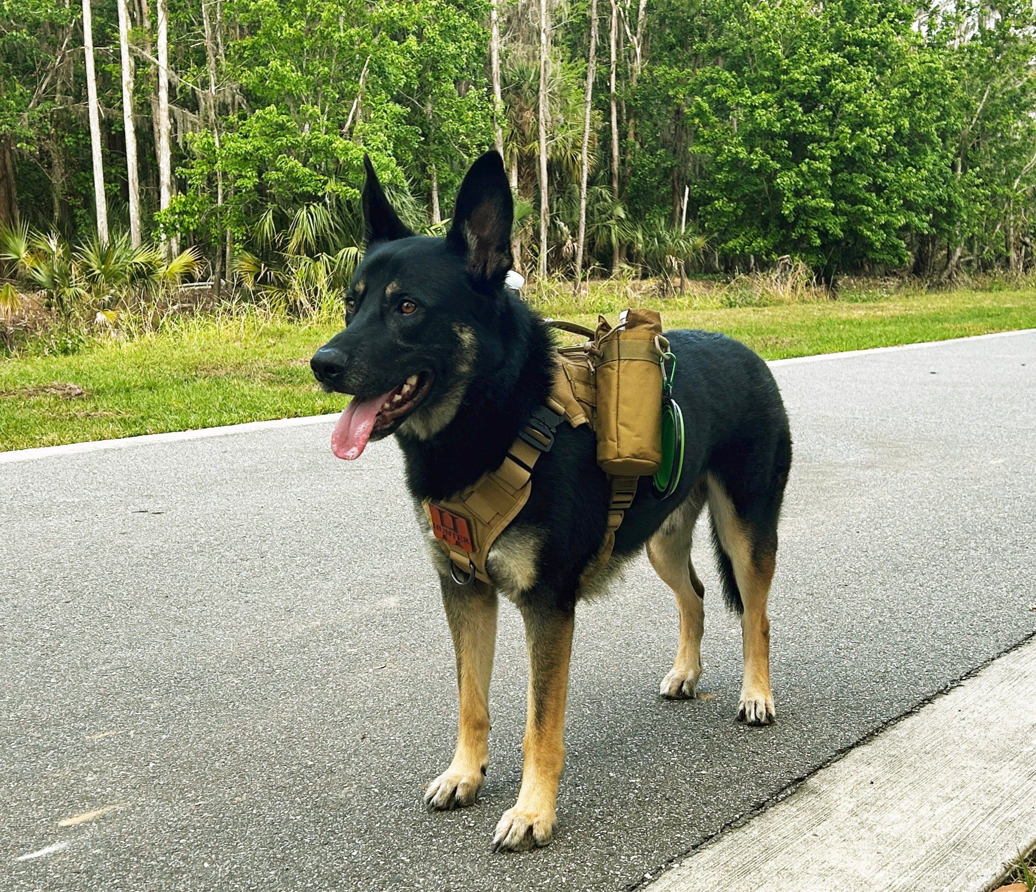 The Traveler Dog Harness