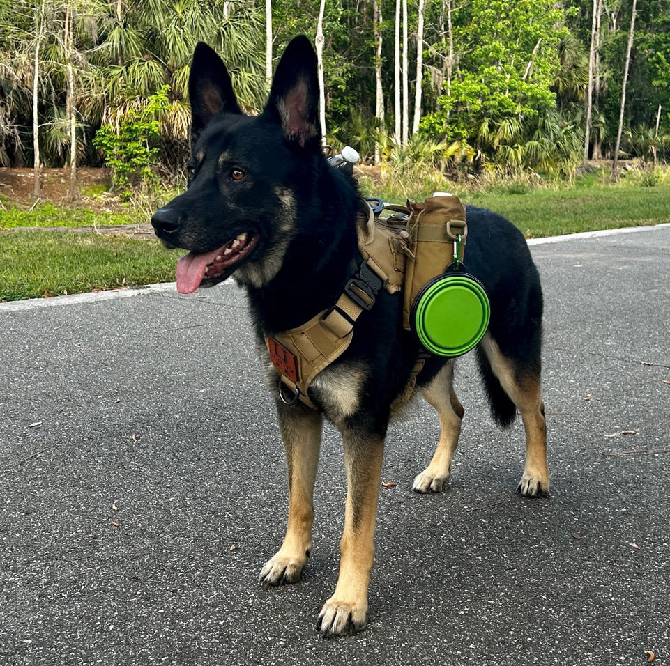 The Wanderer Dog Harness
