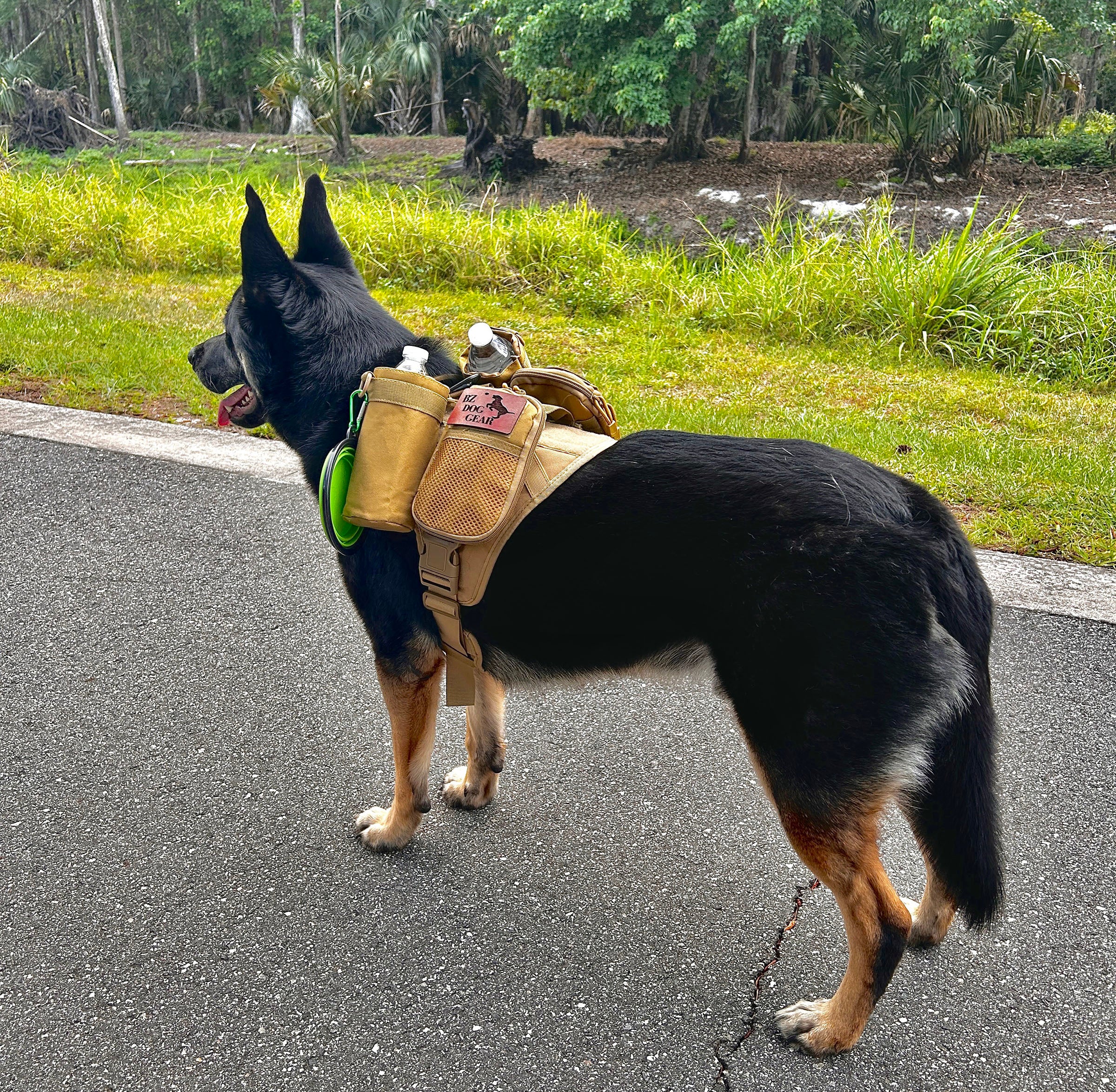 The Wanderer Dog Harness