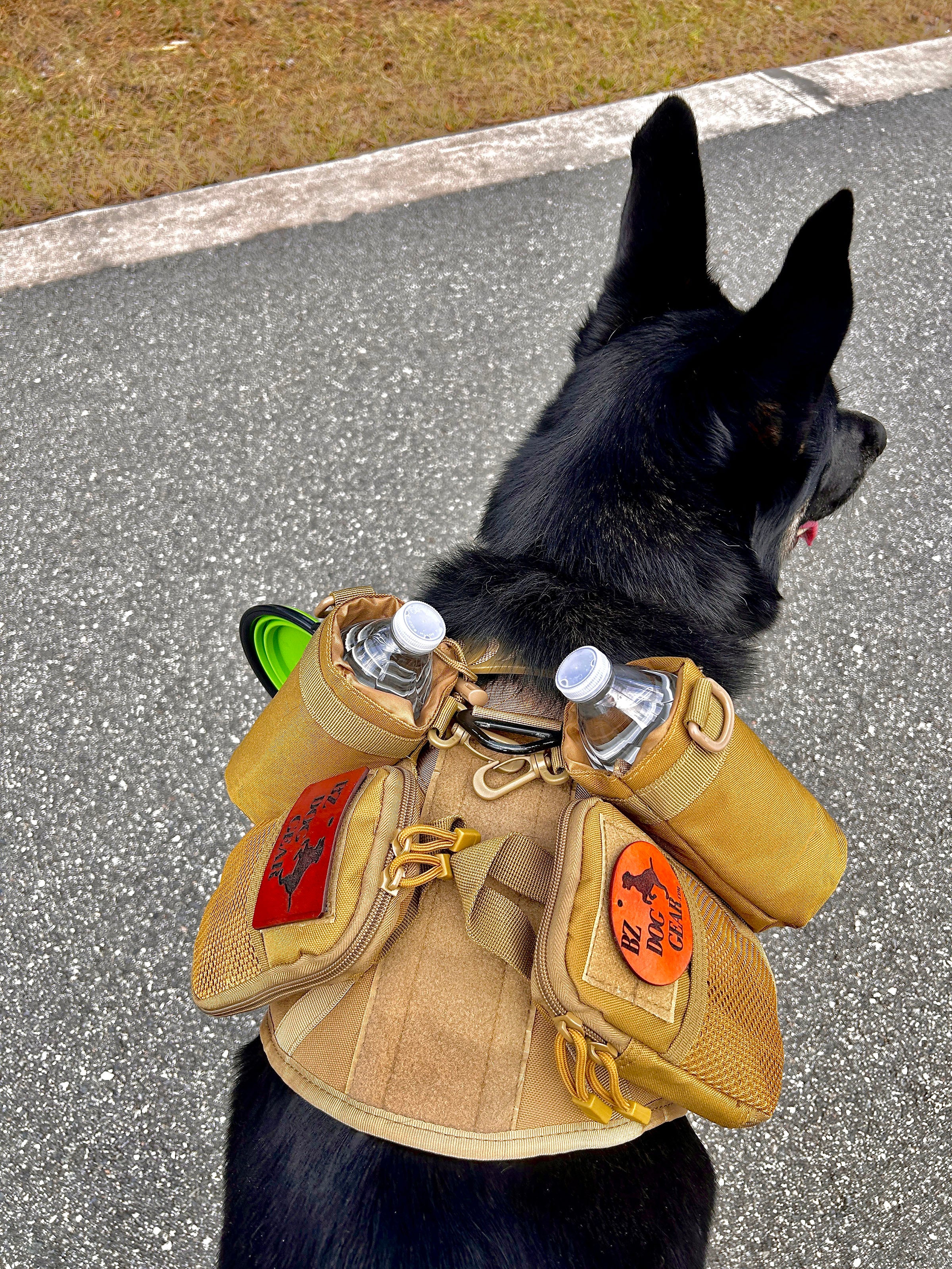 The Wanderer Dog Harness