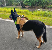 Load image into Gallery viewer, The Wanderer Dog Harness
