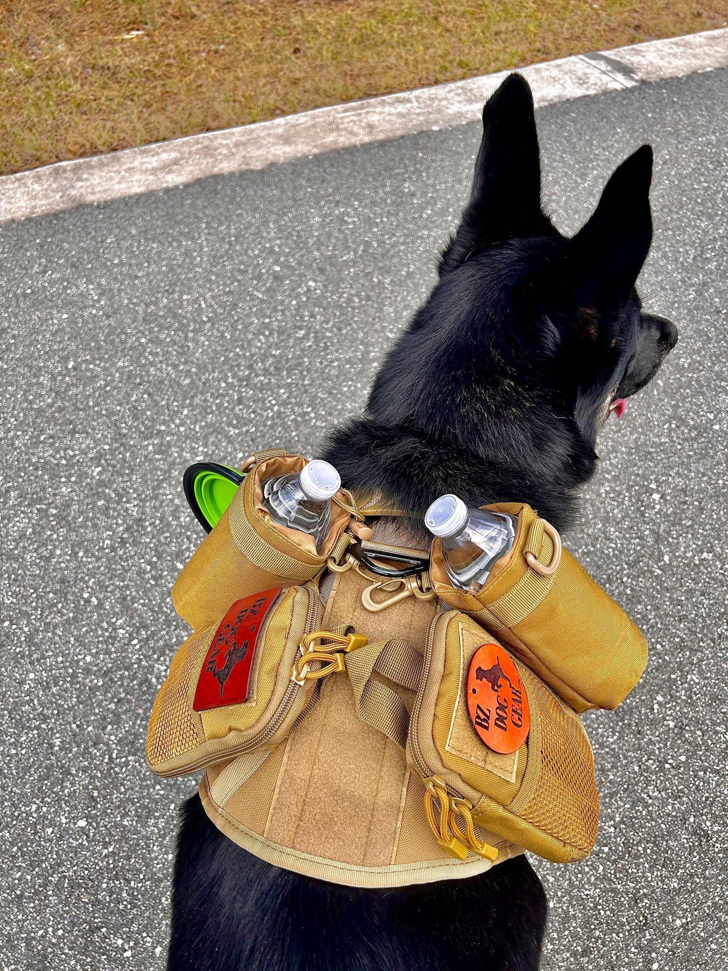 The Wanderer Dog Harness